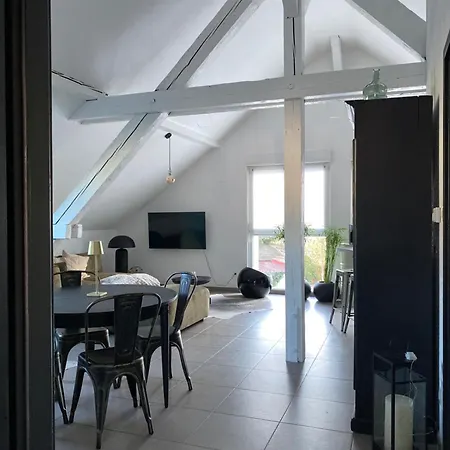 Apartment Atypique Lumineux Selestat