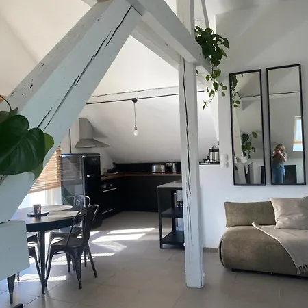 Apartment Atypique Lumineux Selestat