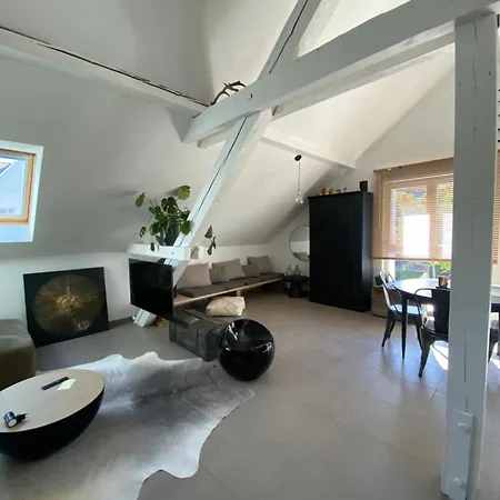 Apartment Atypique Lumineux