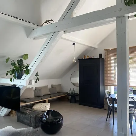 Apartment Atypique Lumineux Selestat